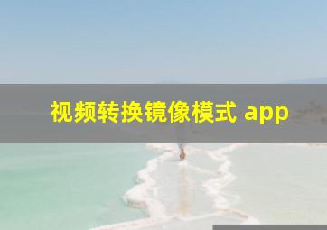 视频转换镜像模式 app